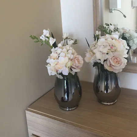 Casa de hóspedes Nikos Ikies Theológos