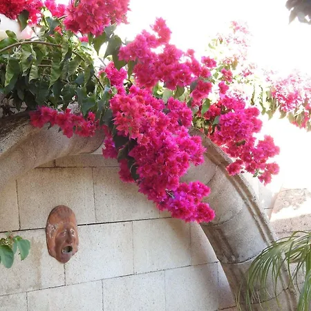 Nikos Ikies Pensjonat Theológos