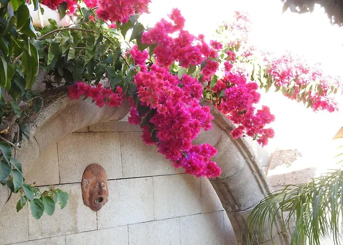 Nikos Ikies Pensiune Theológos