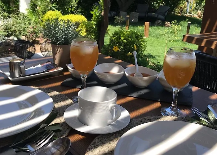 Pensiune Nikos Ikies