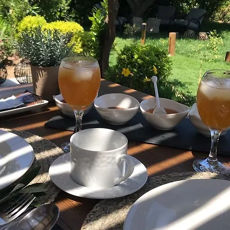 בית הארחה Nikos Ikies